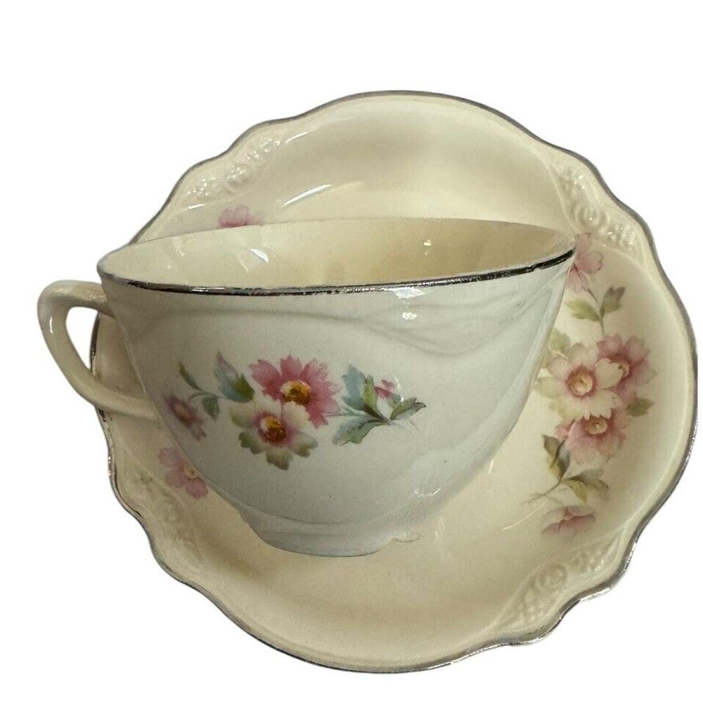 Homer Laughlin Virginia Rose Cup Saucer Set‎ Moss Rose China F42 N8 Tea Party